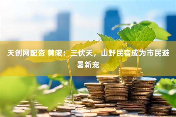 天创网配资 黄陂：三伏天，山野民宿成为市民避暑新宠