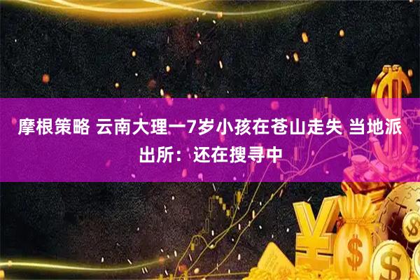 摩根策略 云南大理一7岁小孩在苍山走失 当地派出所：还在搜寻中