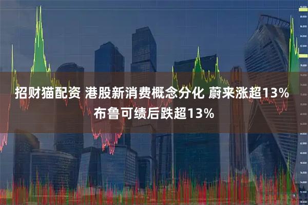 招财猫配资 港股新消费概念分化 蔚来涨超13% 布鲁可绩后跌超13%