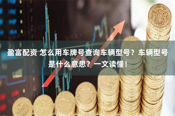 盈富配资 怎么用车牌号查询车辆型号？车辆型号是什么意思？一文读懂！