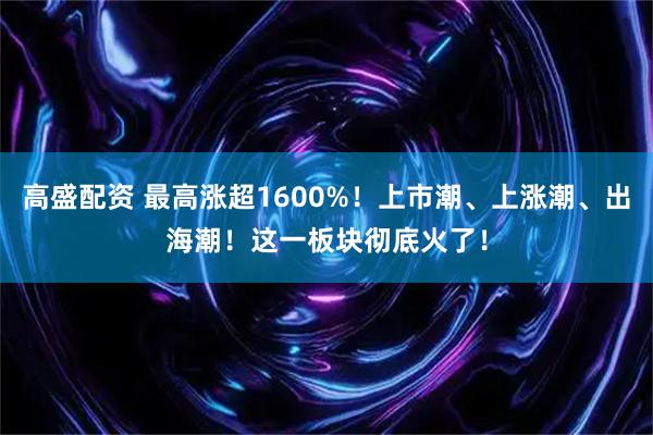 高盛配资 最高涨超1600%！上市潮、上涨潮、出海潮！这一板块彻底火了！
